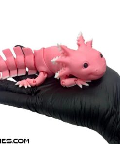 Mô hình Axolotl in 3D