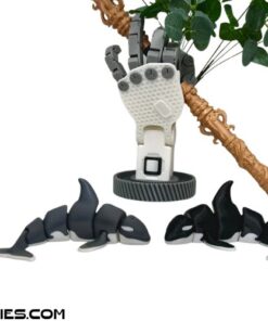 Mô hình cá voi sát thủ Orca in 3D