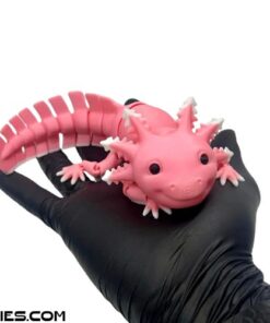 Mô hình Axolotl in 3D